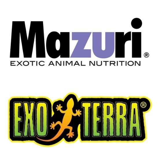 อาหารและอุปกรณ์