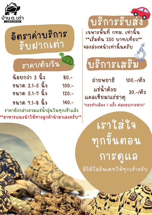 โรงแรมเต่าบก ราคา