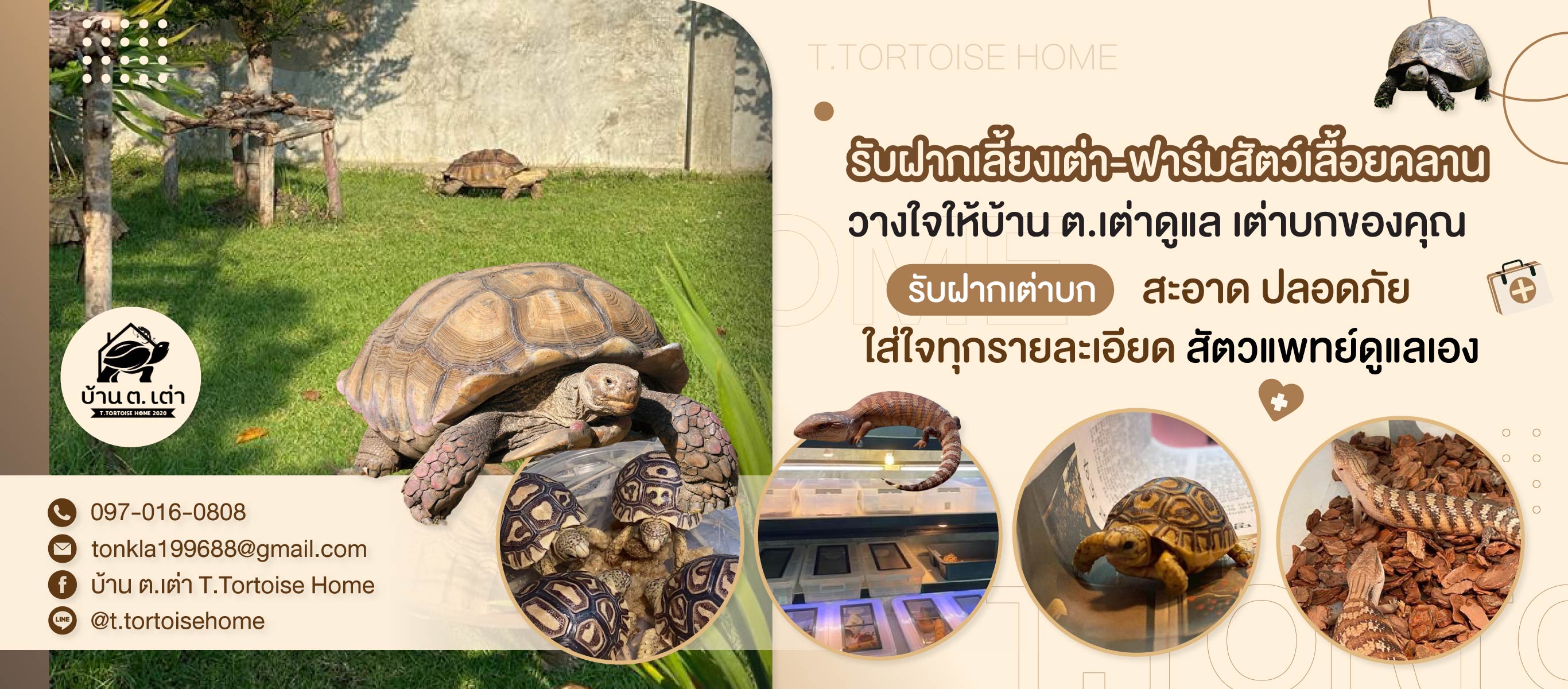 บริการรับฝากเลี้ยงเต่าบก